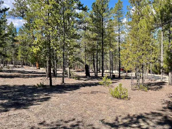 Twin Lakes, CO 81251,834 Cedar DR