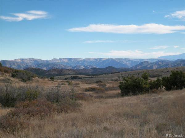 Cotopaxi, CO 81223,2424 Running Bear