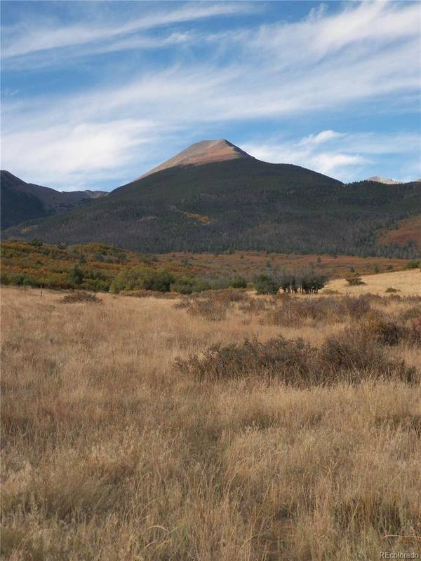 2424 Running Bear, Cotopaxi, CO 81223