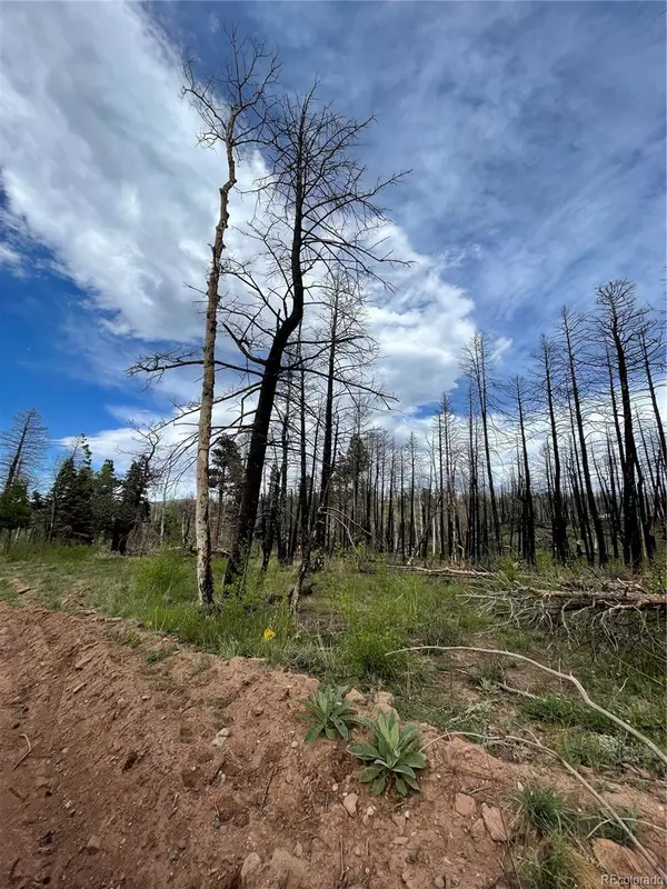 Fort Garland, CO 81133,986 Levy PL