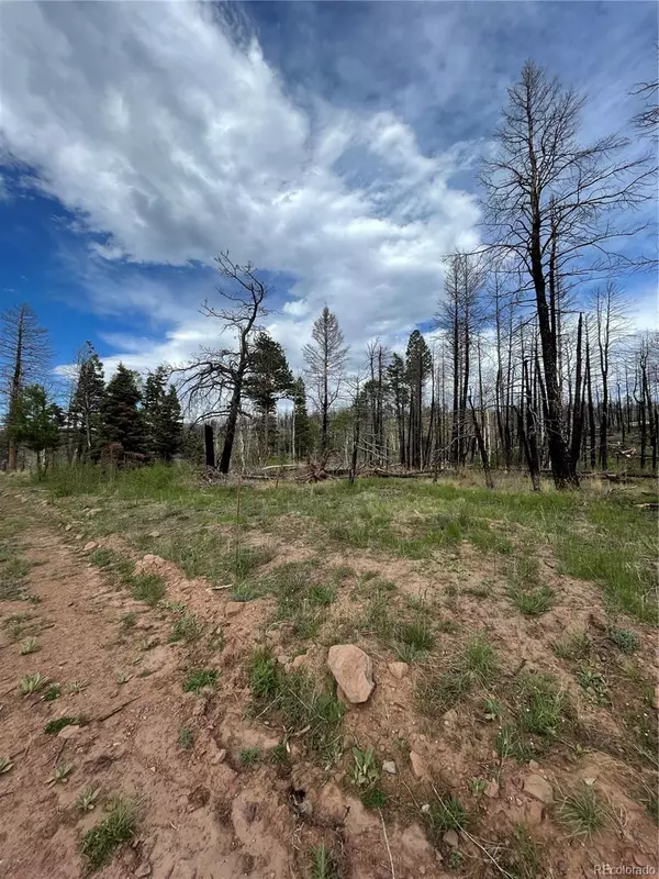 Fort Garland, CO 81133,986 Levy PL