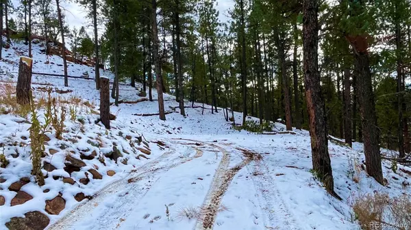 Woodland Park, CO 80863,15126 N Pine Lake PL