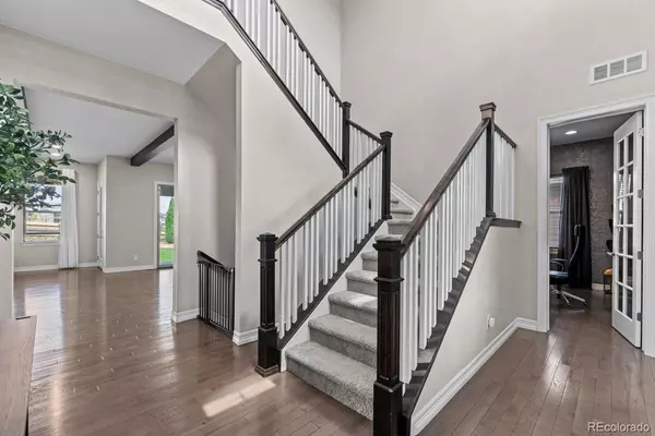 Parker, CO 80134,14589 Hagus PL