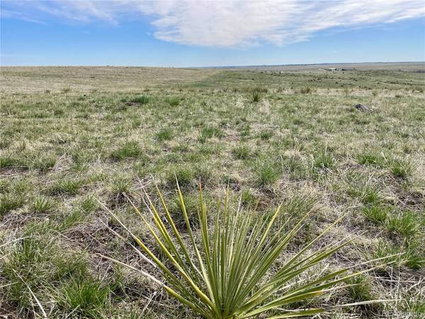 15755 CR 166, Kiowa, CO 80117