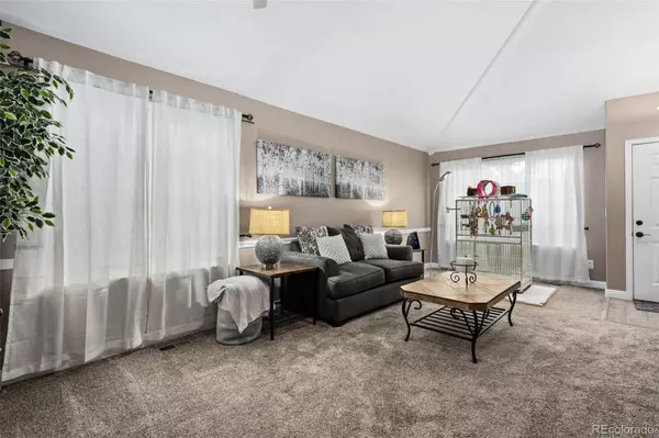 Lone Tree, CO 80124,10445 Cheetah Winds