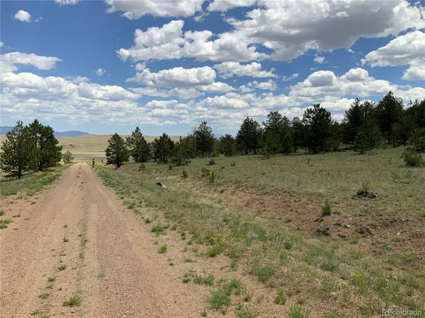 Hartsel, CO 80449,0 Vireo WAY