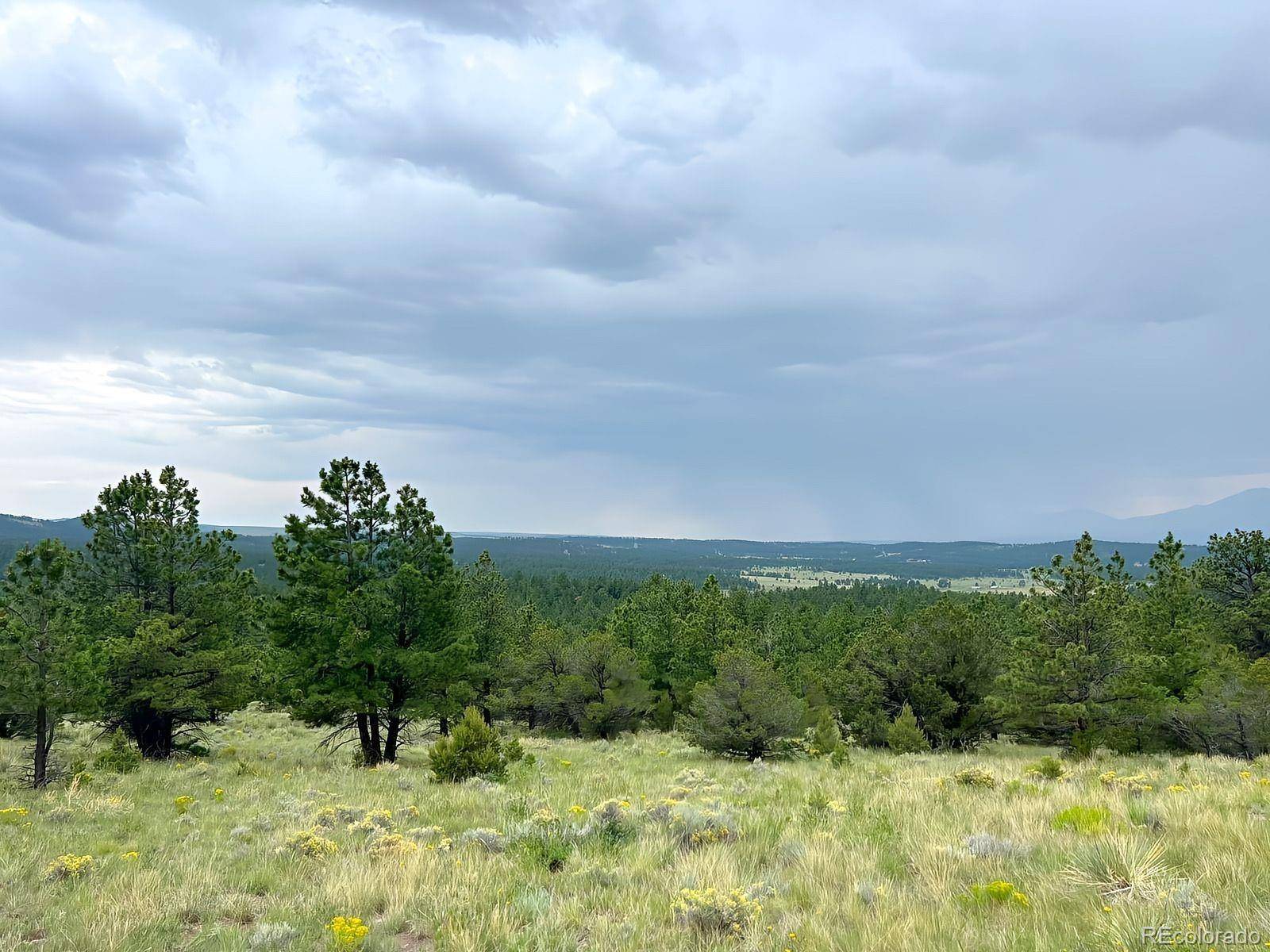 Westcliffe, CO 81252,47 Bittersweet LN