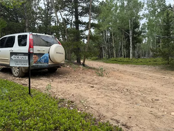 Central City, CO 80427,005 Roy Smith RD