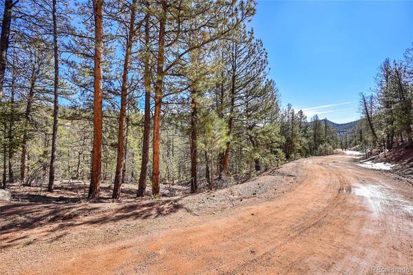 16588 Ouray RD, Pine, CO 80470