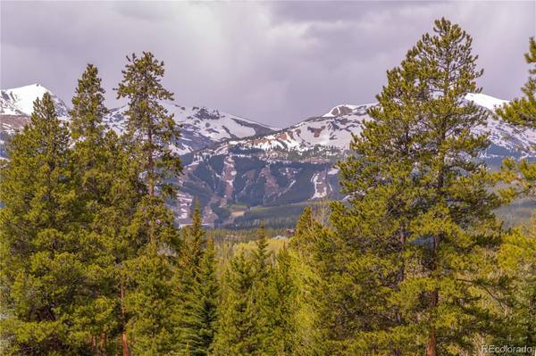 20 Rounds RD, Breckenridge, CO 80424