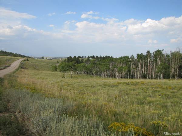 Hartsel, CO 80449,8165 Ranch RD