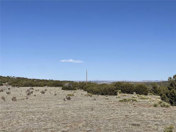 Walsenburg, CO 81089,L360,361 P2 Cielo Azul DR