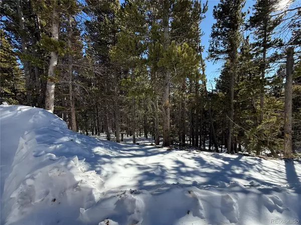 Idaho Springs, CO 80452,Lot 846 Lincoln DR