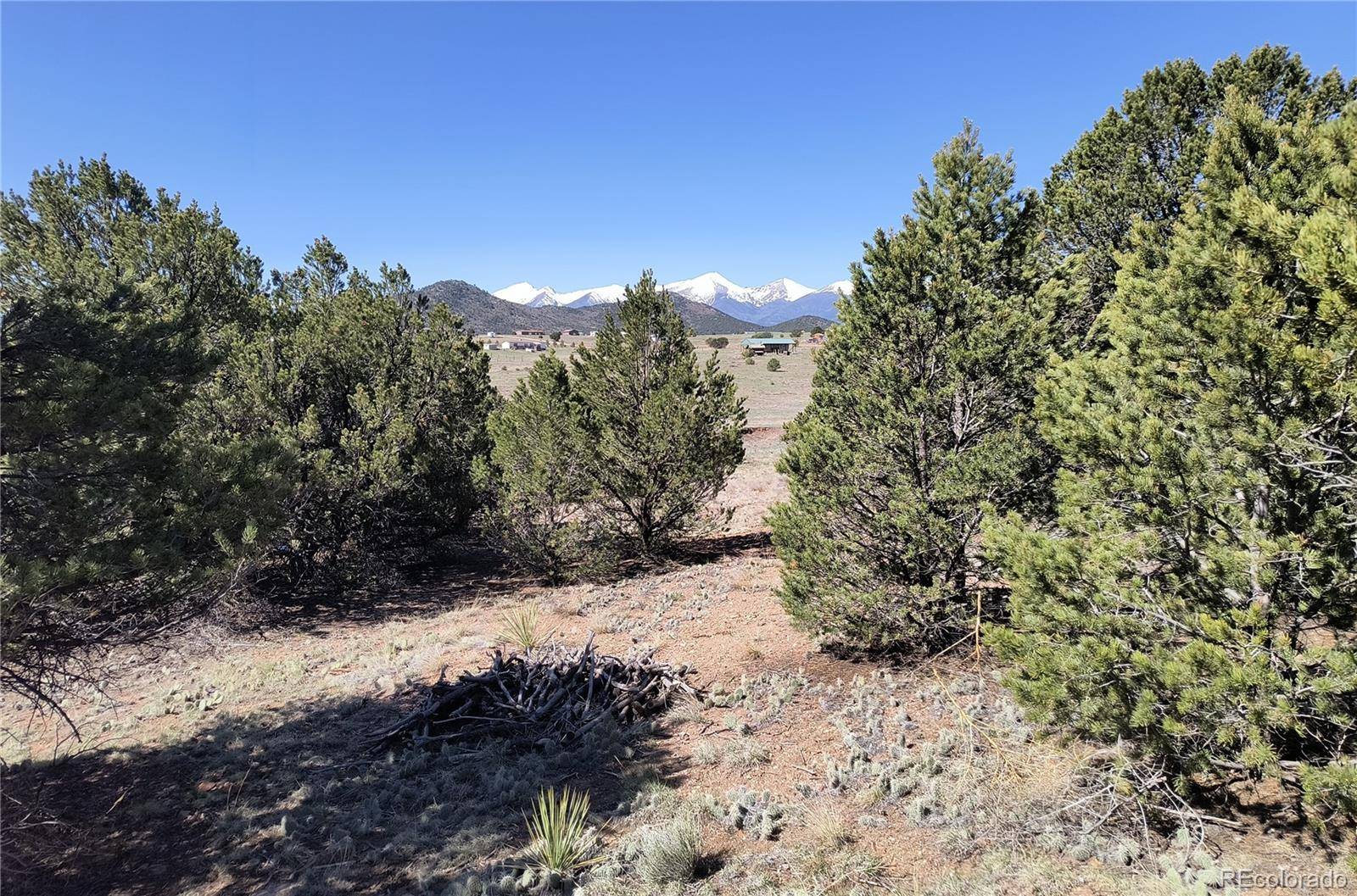 18th, Cotopaxi, CO 81223