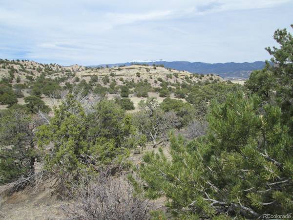 Gardner, CO 81040,lot 1 CR 541