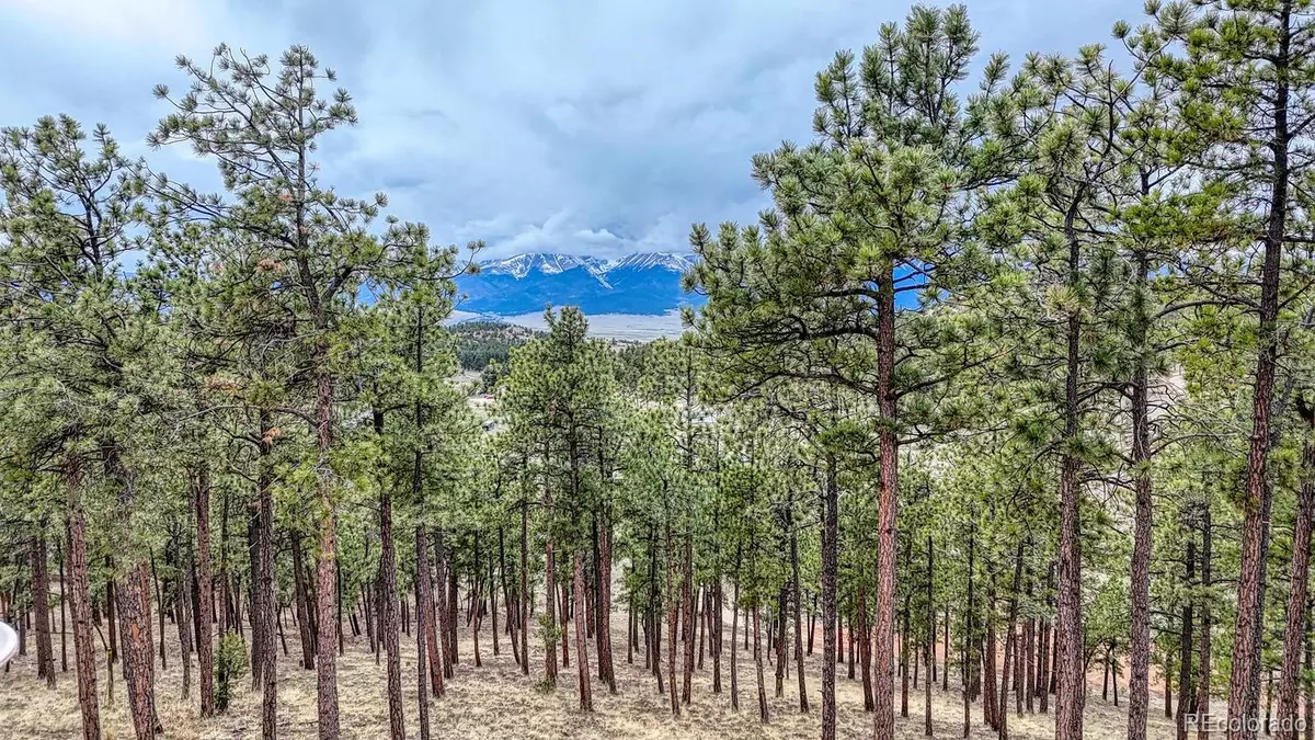 Westcliffe, CO 81252,Lot 43 S Ben Eaton LN