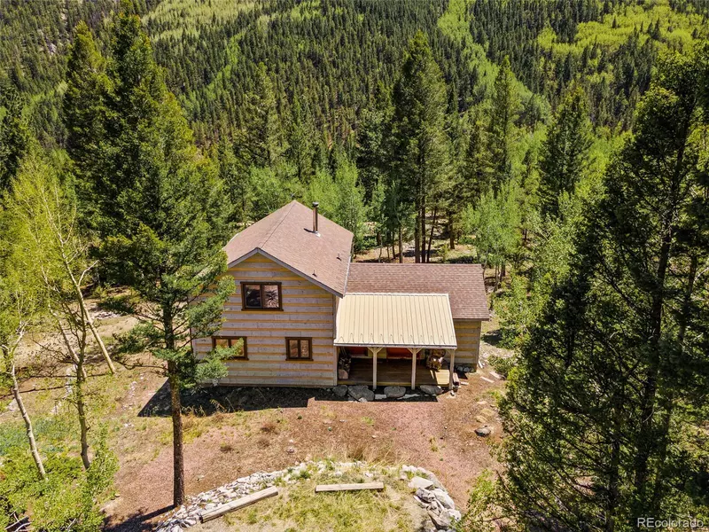 22590 County Road 292 A, Nathrop, CO 81236