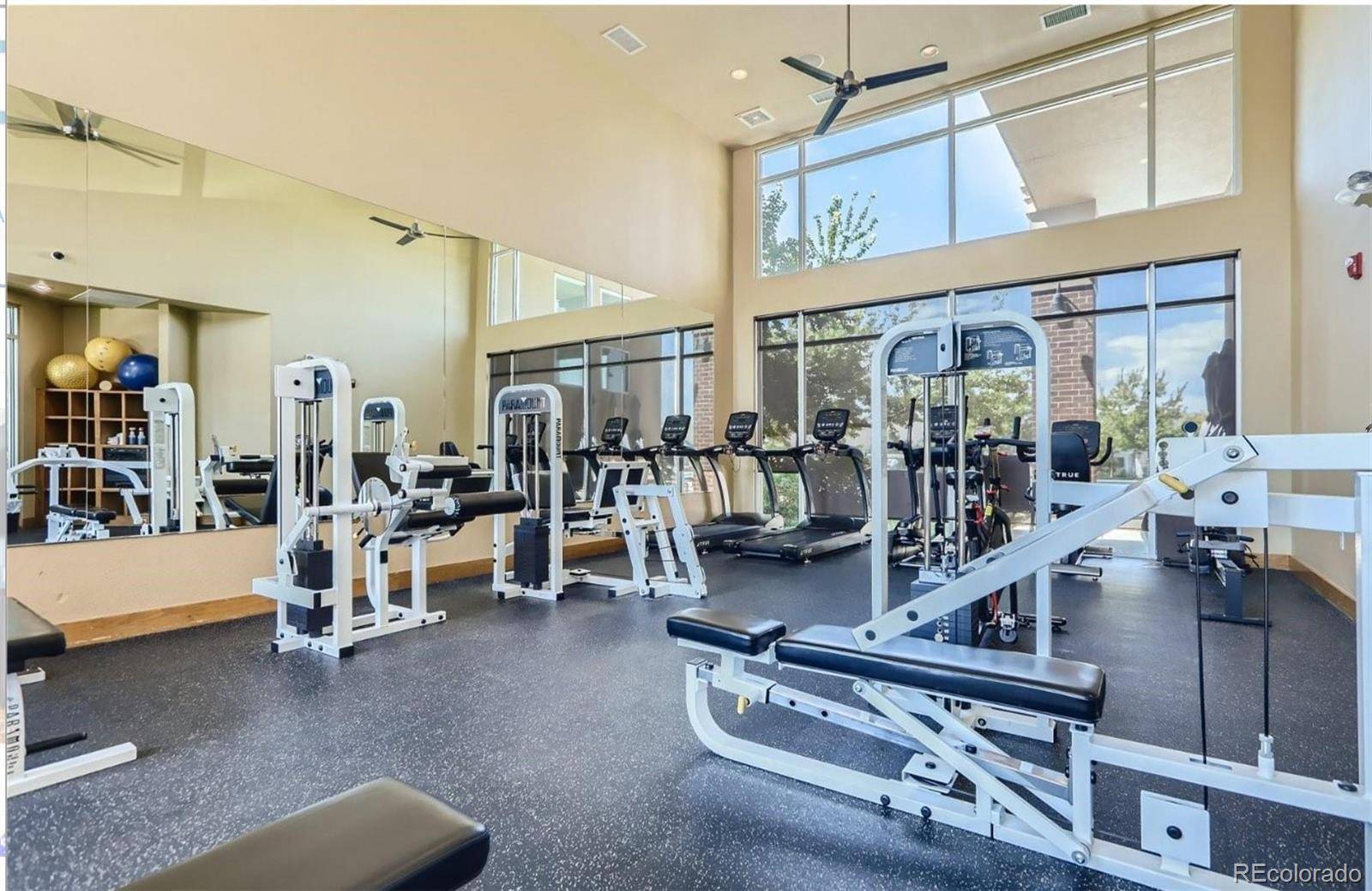 Lone Tree, CO 80124,10184 Park Meadows DR #1317