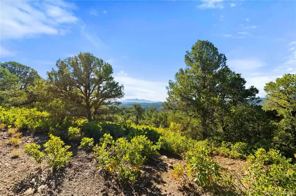 Trinidad, CO 81082,Lots L, M, N, O Tollerburg RD