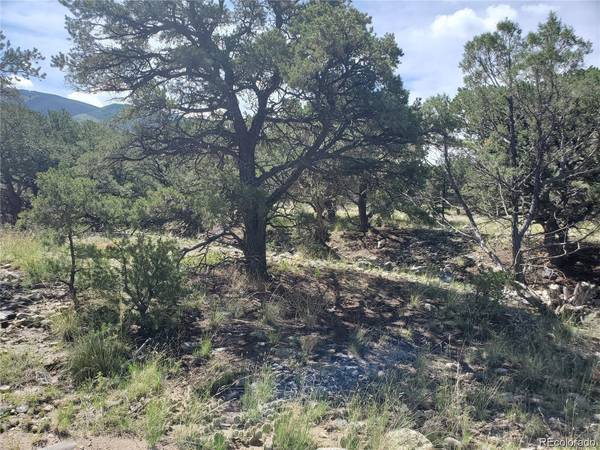 Mosca, CO 81146,103 Mountain Spring LN