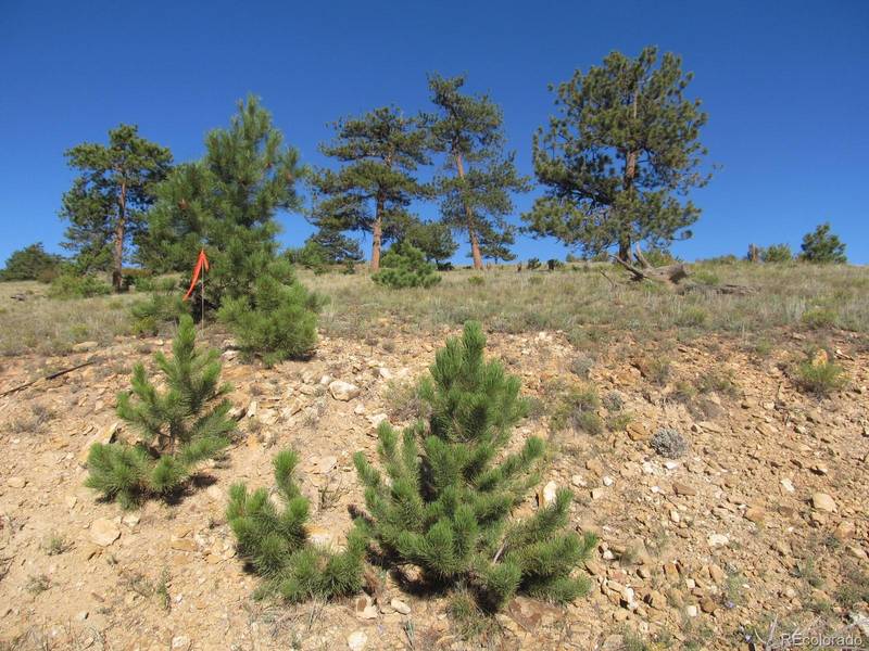 Lot 5082 Arikara TRL, Hartsel, CO 80449