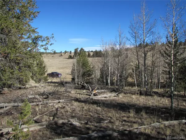 58 June LN, Hartsel, CO 80449