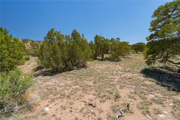 Gardner, CO 81040,lot 12 CR 540