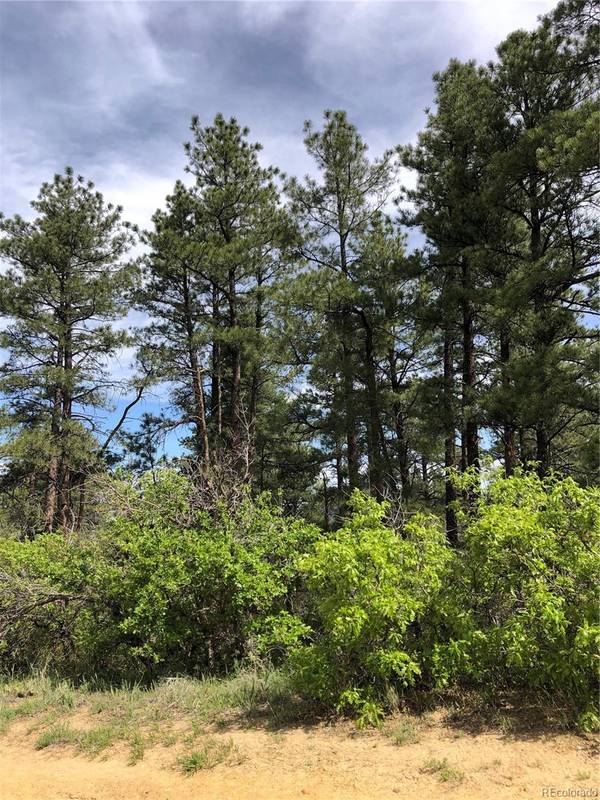 Larkspur, CO 80118,2207 Senecio DR
