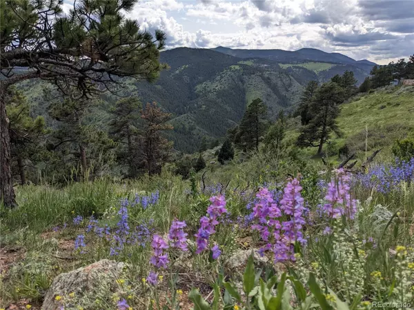 Golden, CO 80403,25421 Westridge RD