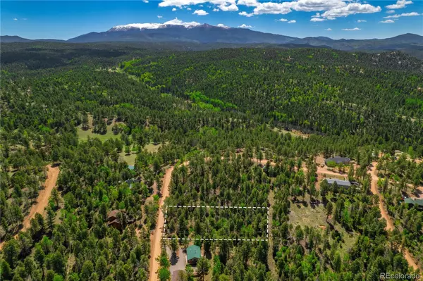 Florissant, CO 80816,1093 Pinewood RD