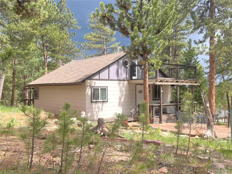 187 Johnson RD, Bailey, CO 80421