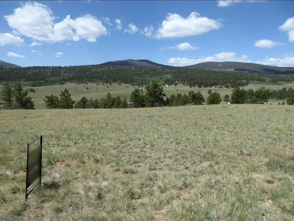 Hartsel, CO 80449,475 Wagon Wheel RD