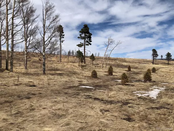 Fort Garland, CO 81133,1816-17-18 Forbes Park Road