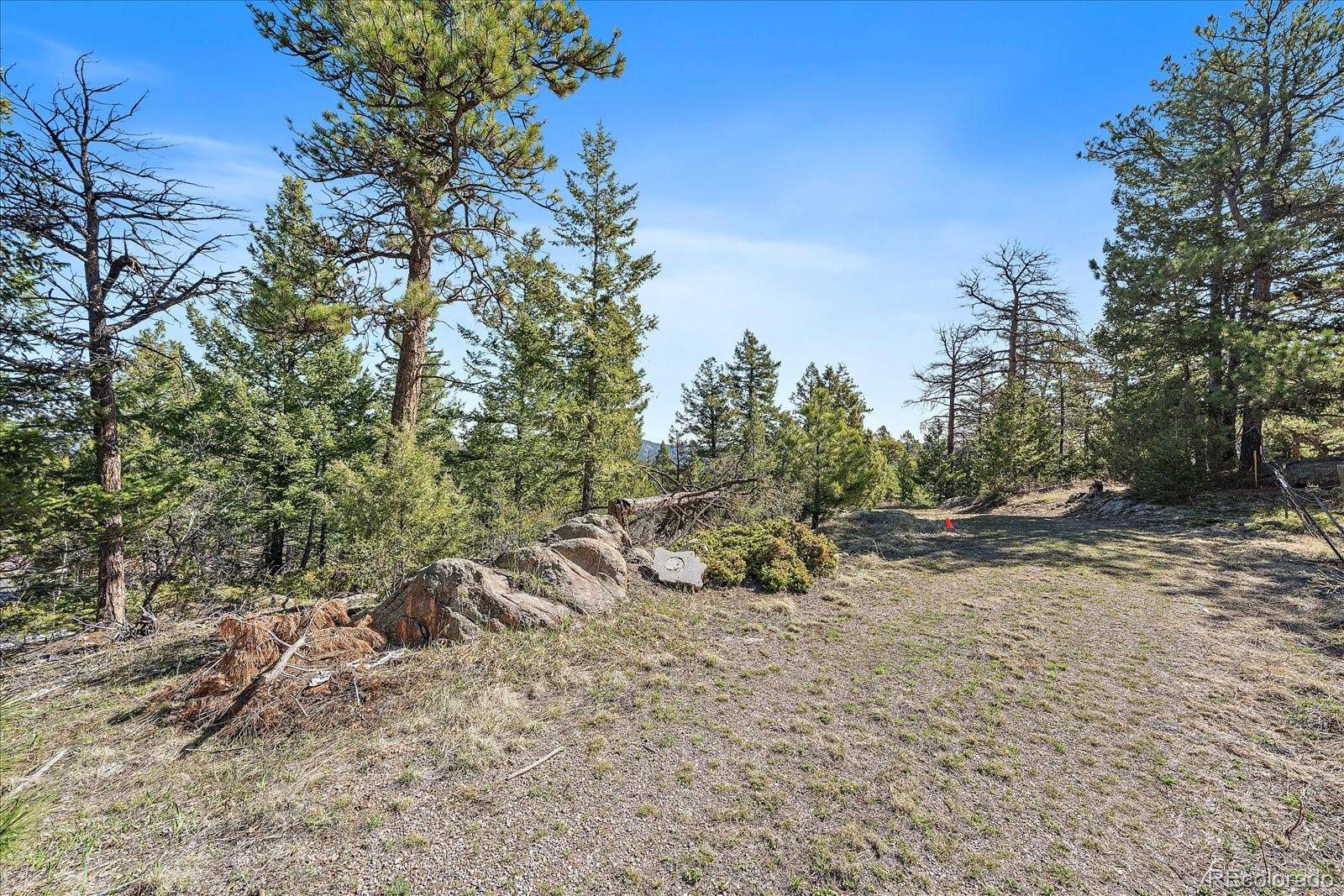 Morrison, CO 80465,21467 Alta DR