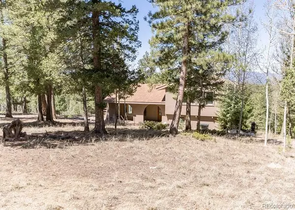 Divide, CO 80814,1895 County Road 512