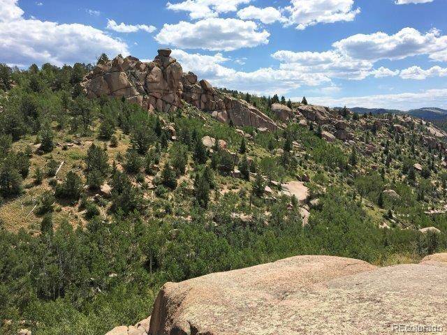 Cripple Creek, CO 80813,TBD Climax DR