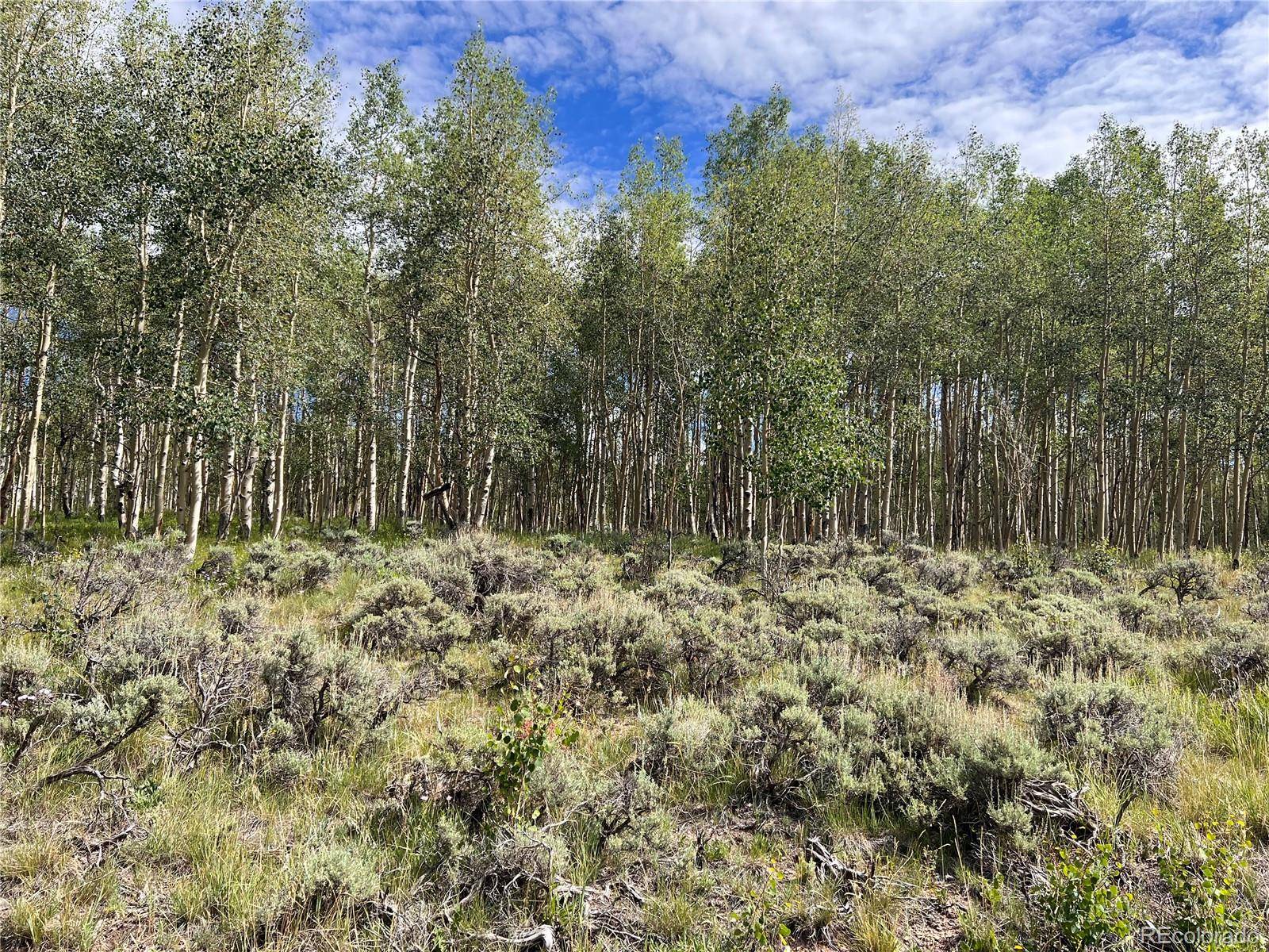 Leadville, CO 80461,259 Mallard RD