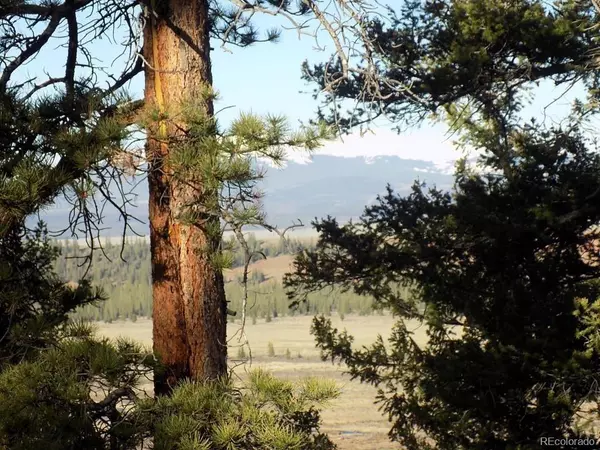 Fairplay, CO 80440,2381 Redhill RD