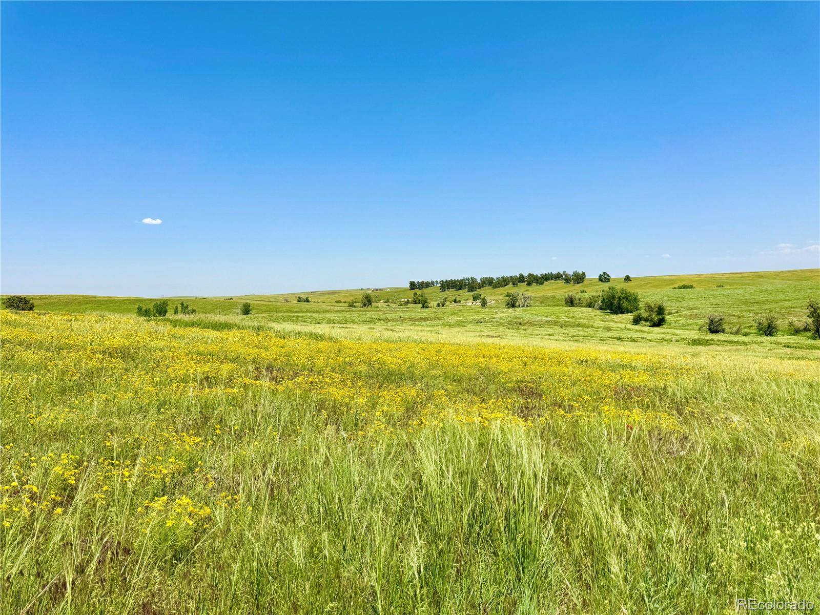 Kiowa, CO 80117,0 Wendling Trail Lot 61
