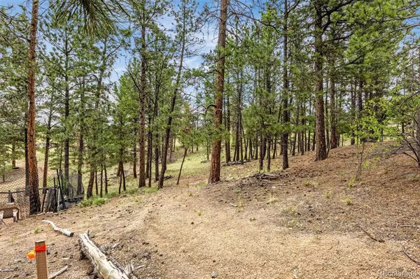Florissant, CO 80816,77 Monarch DR