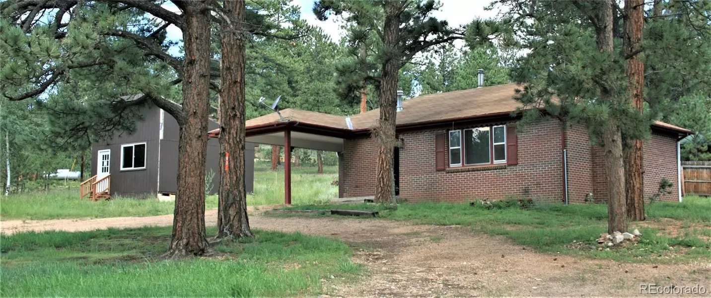 63 Fitzsimmons RD, Bailey, CO 80421