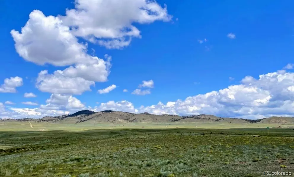 8127 Larimer RD, Hartsel, CO 80449