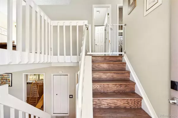 Fountain, CO 80817,566 Blossom Field RD