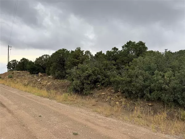 Reins RD, Walsenburg, CO 81089