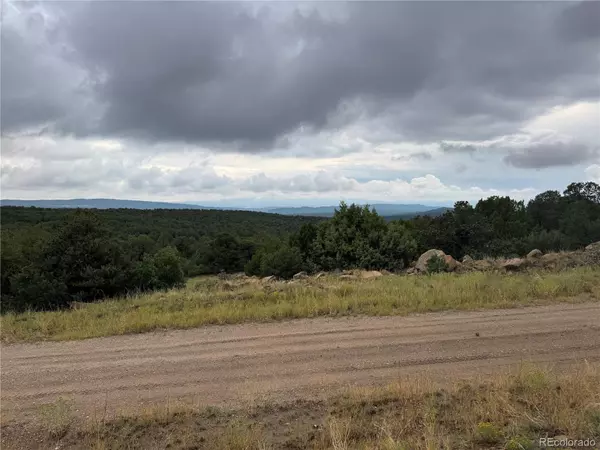 Walsenburg, CO 81089,Reins RD
