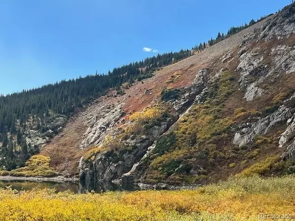 Idaho Springs, CO 80452,Lot 39 Silver Creek RD