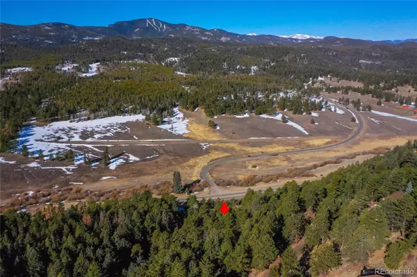Conifer, CO 80433,27292 Ridge TRL
