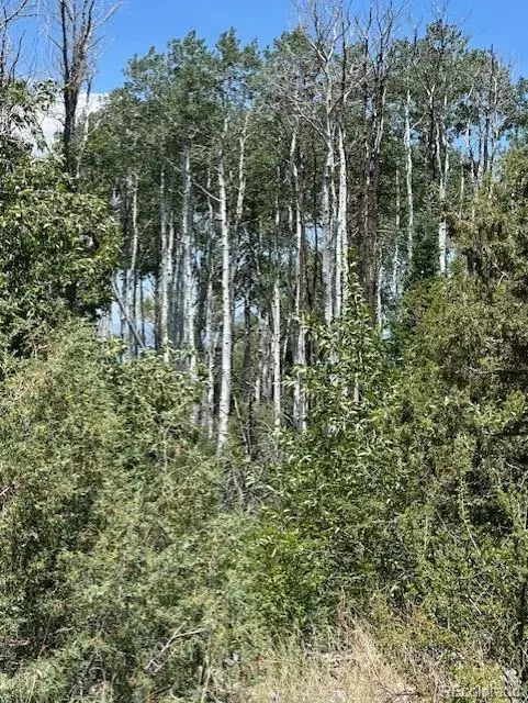 Mosca, CO 81146,231 & 233 Mill Run Road