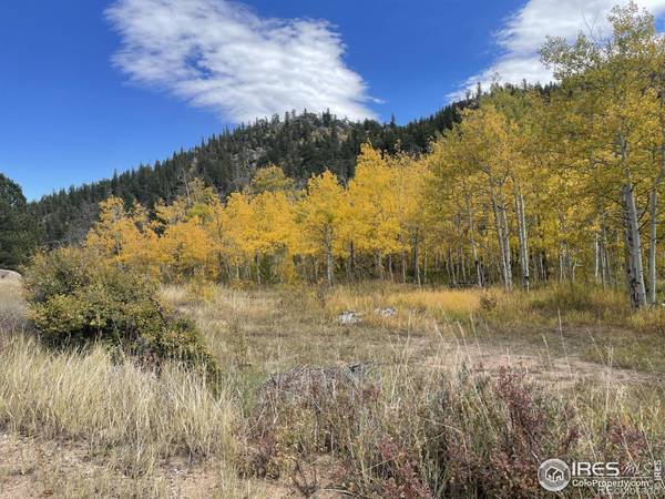 Red Feather Lakes, CO 80545,53 Ada CT