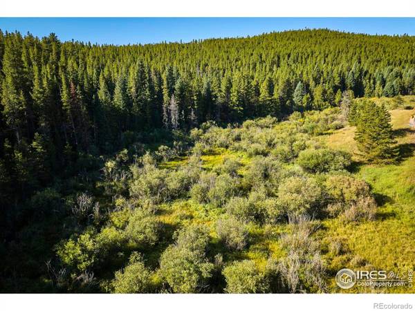 Nederland, CO 80466,0 Coal Creek Canyon DR